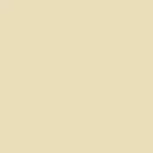 Akril marker Liquitex wide 15mm – Parchment 436