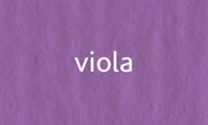 CartaCrea papír 35x50cm - viola