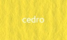 CartaCrea papír 35x50cm - cedar