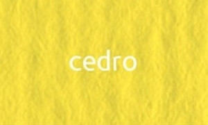 CartaCrea papír 35x50cm - cedar