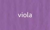 Elle Erre 70x100cm 220g viola Elle Erre 70x100cm 220g viola