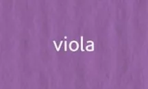 Elle Erre 70x100cm 220g  viola