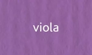 Elle Erre 70x100cm 220g  viola