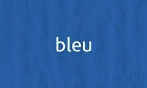 Elle Erre 70x100cm 220g  bleu