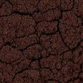  Pigment Zlatá loď 100g  48750 Kaput mortuum sötét lila (PR101)