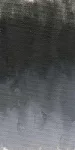 Olajfesték Williamsburg 37ml  1702 Graphite Grey