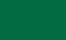Art pigment Umton 1kg - dull króm oxide PG17