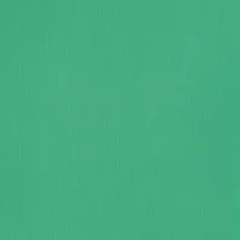 Akril paint Basics 118ml - 660 bright aqua green