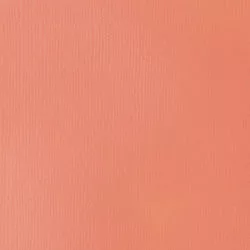 Akril paint Basics 118ml 810 light pink Akril paint Basics 118ml 810 light pink