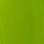 Akril paint Basics 118ml  222 lime green