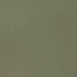 Akril paint Basics 118ml  205 green gray