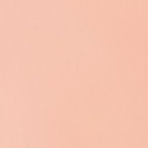 Akril festék Basics Fluid 118ml – 810 világos Pink