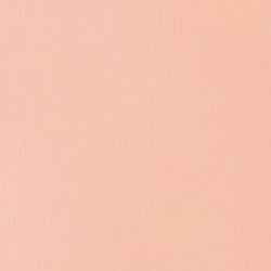 Akril festék Basics Fluid 118ml – 810 világos Pink