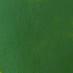   Akril festék Basics Fluid 118ml – 224 Hooker zöld Permanent árnyalat