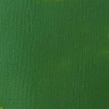   Akril festék Basics Fluid 118ml – 224 Hooker zöld Permanent árnyalat