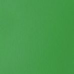   Akril festék Basics Fluid 118ml – 312 világos Green Permanent