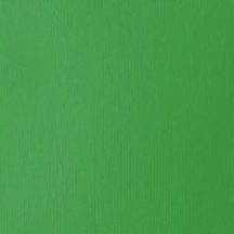   Akril festék Basics Fluid 118ml – 312 világos Green Permanent