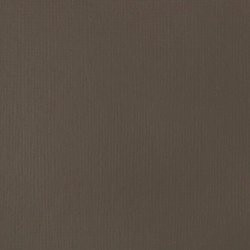 Akril festék Basics Fluid 118ml – 331 Nyers umbra