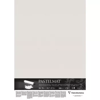 Paper for pastel Pastelmat 50x70cm 360g light grey