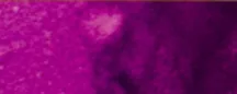 Alkohol alapú Aura tinta 15ml - 129 lila