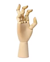 Fa kézmodell - jobb