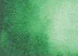 Akvarellfesték DS 15ml 042 Hooker's Green Akvarellfesték DS 15ml 042 Hooker's Green