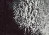 Akvarellfesték DS 15ml 049 Lunar Black Akvarellfesték DS 15ml 049 Lunar Black