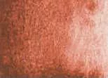 Akvarellfesték DS 15ml 111 Venetian Red Akvarellfesték DS 15ml 111 Venetian Red