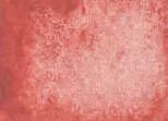Akvarellfesték DS 15ml  122 Italian Venetian Red