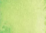 Akvarellfesték DS 15ml  124 Phthalo Yellow Green