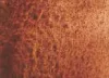 Akvarellfesték DS 15ml  130 Áttetsző Red Oxide