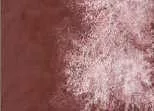 Akvarellfesték DS 15ml  141 Lunar Red Rock