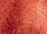Akvarellfesték DS 15ml  151 Burgundy Vörös okker
