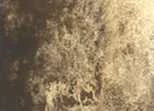 Akvarellfesték DS 15ml 161 Tiger's Eye Genuine Akvarellfesték DS 15ml 161 Tiger's Eye Genuine