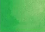Akvarellfesték DS 15ml 208 Spring Green Akvarellfesték DS 15ml 208 Spring Green