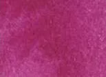 akvarell paint DS 15ml  236 Quinacridone orgonalila