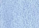 Akvarellfesték DS 15ml  252 King's Royal Blue