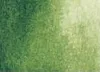 Watercolor paint DS 5ml 102 Nedvzöld Watercolor paint DS 5ml 102 Nedvzöld