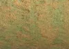 akvarell paint DS 15ml 4037 Duochrome Saguaro zöld akvarell paint DS 15ml 4037 Duochrome Saguaro zöld