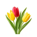 Candle Fragrance 10ml – 13 Tulips
