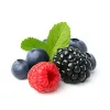 10ml Candle Fragrance – 15 erdő Fruits