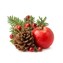 Scent for candles 10ml – 20 Christmas scent