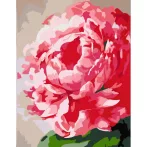Számokkal festés Rosa – 652 virág