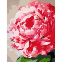 Számokkal festés Rosa – 652 virág