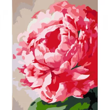 Számokkal festés Rosa – 652 virág