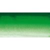 Akvarellfesték Sennelier 1/2 – 809 Hooker's Green