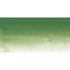 Akvarellfesték Sennelier 1/2 – 815 Krómoxid zöld