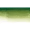 Akvarellfesték Sennelier 1/2 – 819 Nedvzöld