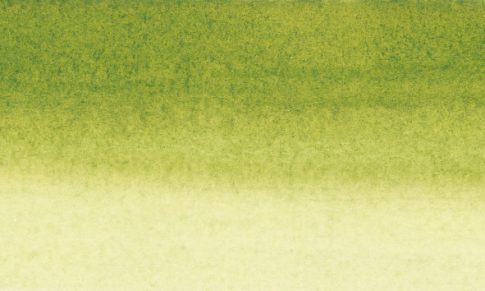 Sellak tinta Sennelier 30ml – 813 Olajbogyózöld