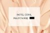 Akril paint Meeden 1000ml - 29 Pastel Coral